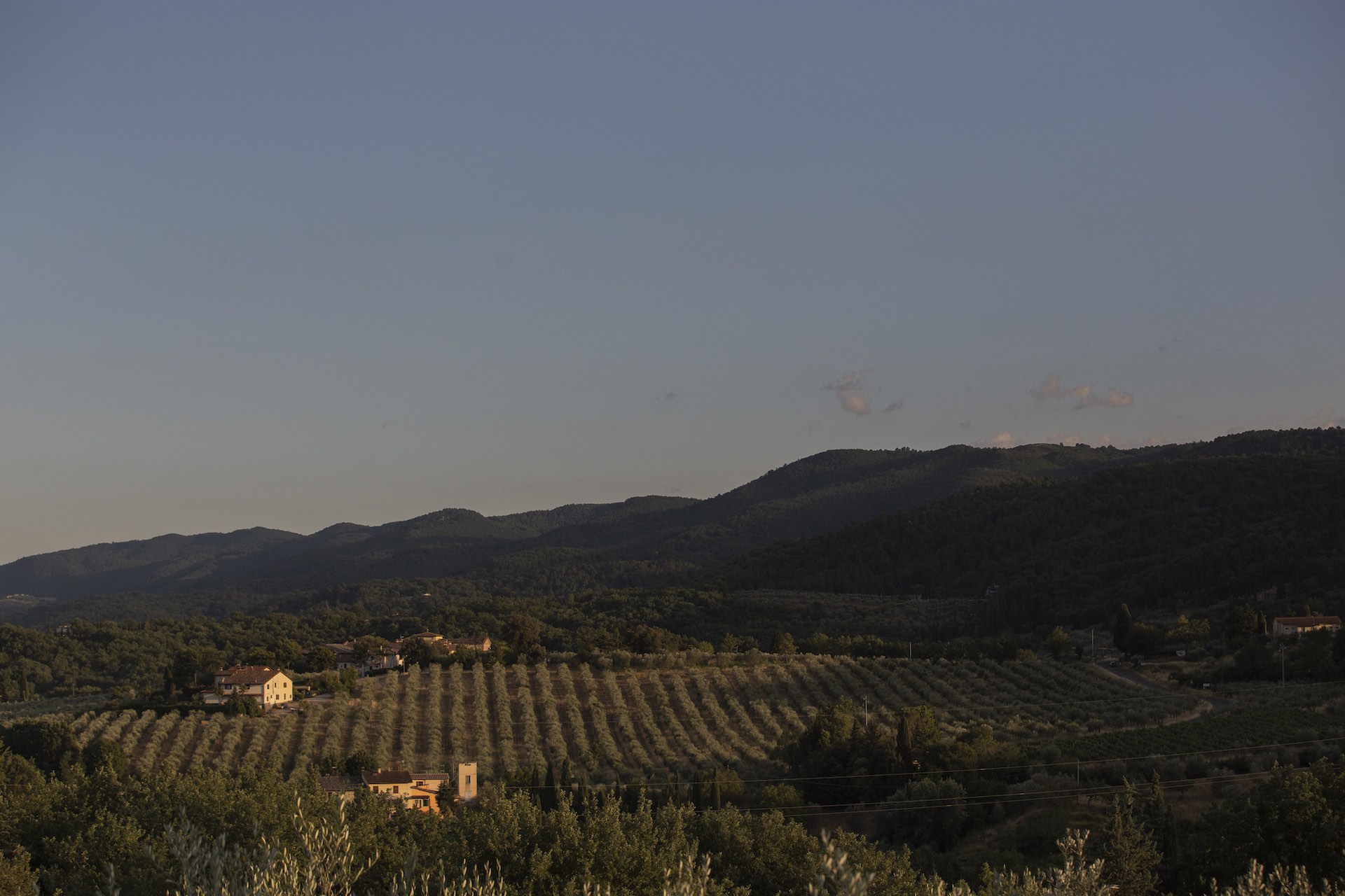 Organizzazione matrimoni in Toscana